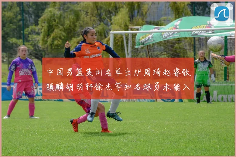 中国男篮集训名单出炉周琦赵睿张镇麟胡明轩徐杰等知名球员未能入选