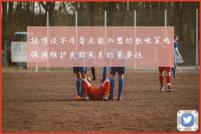 杨鸣谈字母哥未能加盟的教练策略强调维护良好关系的重要性