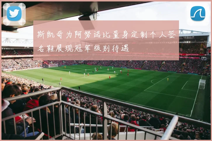 斯凯奇为阿努诺比量身定制个人签名鞋展现冠军级别待遇